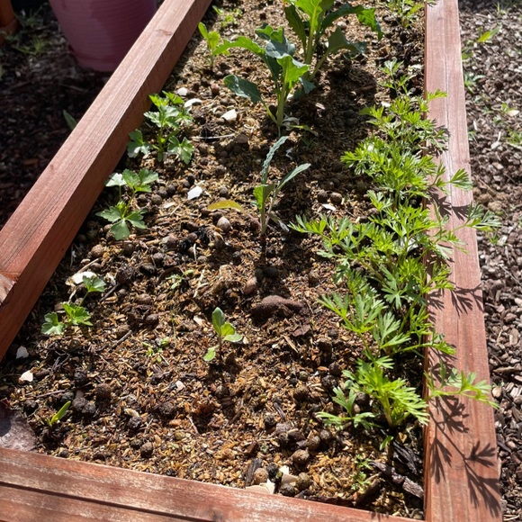 1/2 lb Rabbit Fertilizer - Picture 6 of 7